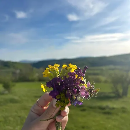 Vikendica Vrba Gacko