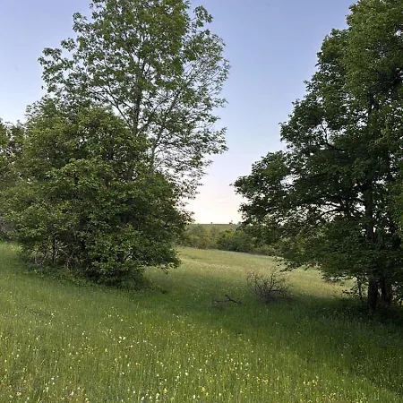Vrba Vikendica Gacko