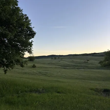Vrba Vikendica Gacko