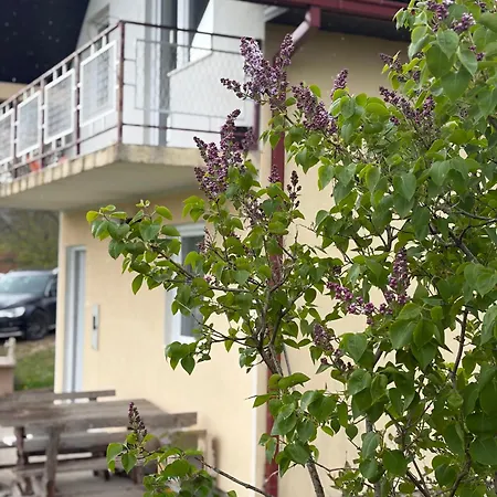 Vrba *